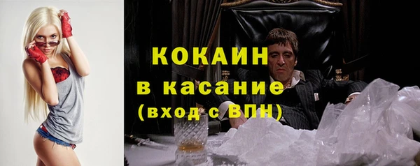 индика Протвино