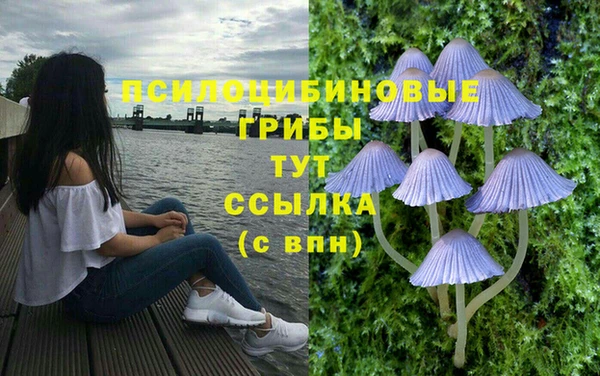марки lsd Приозерск