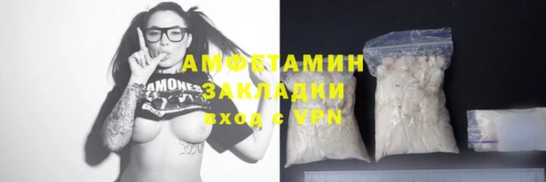 индика Протвино
