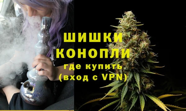 индика Протвино