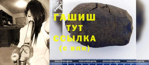 индика Протвино