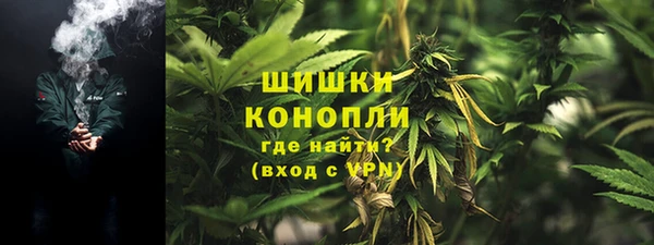 индика Протвино