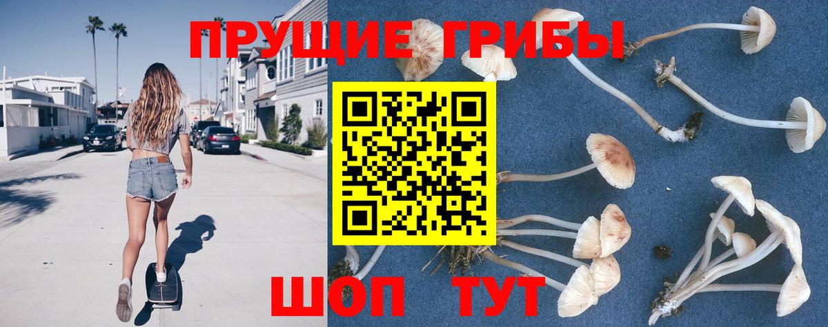 Псилоцибиновые грибы мицелий  Псилоцибиновые грибы мицелий  Саянск  Вход с VPN 